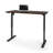 Adjustable Standing Desk-443380251-443380252