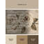 Tapis abstrait moderne et contemporain lavable à la machine Fieldston Valentines en brun - reliure beige-1887813010
