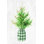 «White and Bright Christmas Tree II Plaid» par Danhui Nai, reproduction sur toile tendue