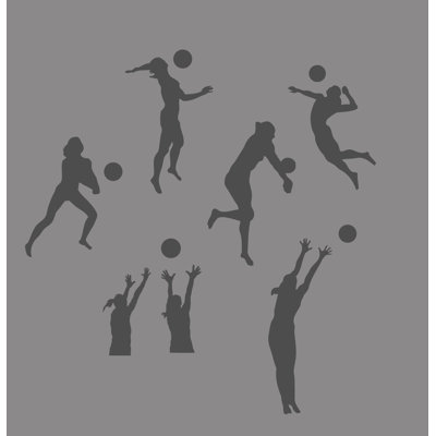 Anadolu Sports Wall Decal