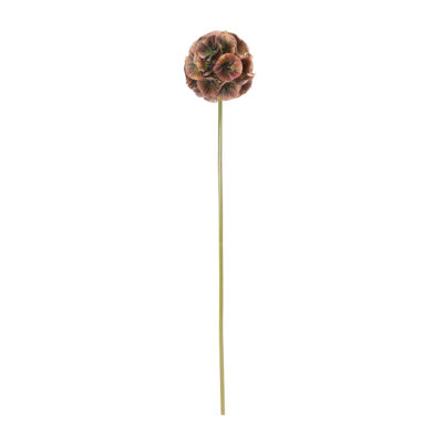 Tige florale
