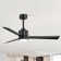52'' Ceiling Fan With Lights And Remote Control