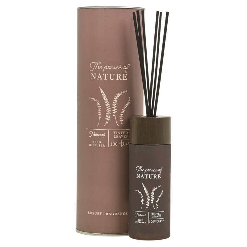 Fresh Reed Diffusers And Sticks