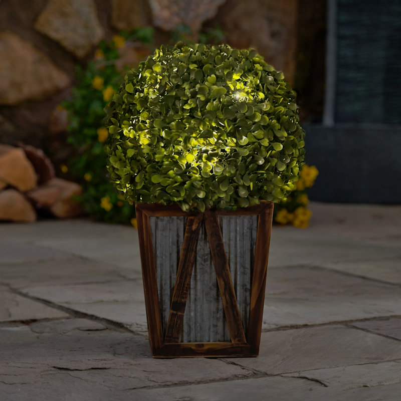 Home 18.25" Solar LED Pre-Lit Artificial Topiary Shrub
