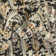 Gosnold Geometric Indoor Rug