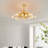 Averygrace Ceiling Fan with 18 Light Kit-294856216