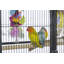 Cage à oiseaux 59,25 po-211704893
