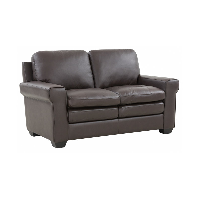 Arrietty 62'' Leather Loveseat