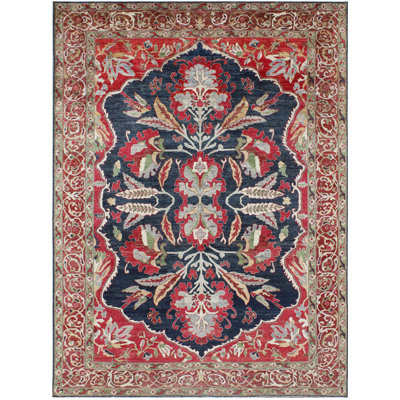 Albirtha Oriental Hand Woven 255cm X 354cm Area Rug