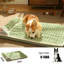 Matelas de lit moelleux lavable pour chien-1472705071-1472705068-1472705069