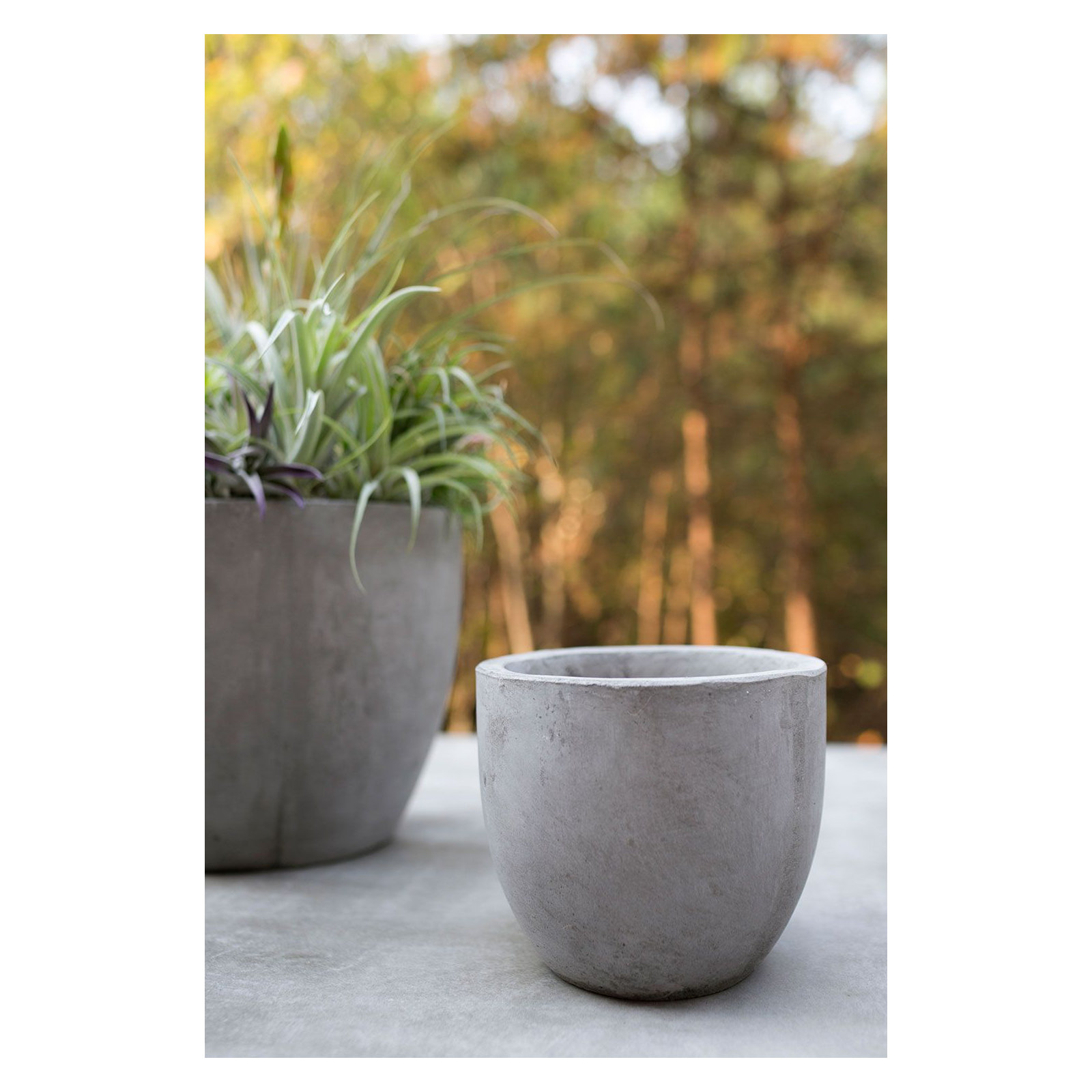Trixie Pot Planter, 5.5" H x 6.5" W x 6.5" D