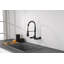 Robinet de cuisine central transitionnel mural mat noir 8 pouces avec douchette extractible-121293567