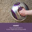 OneConcept Bagless Canister Vacuum-1697791345
