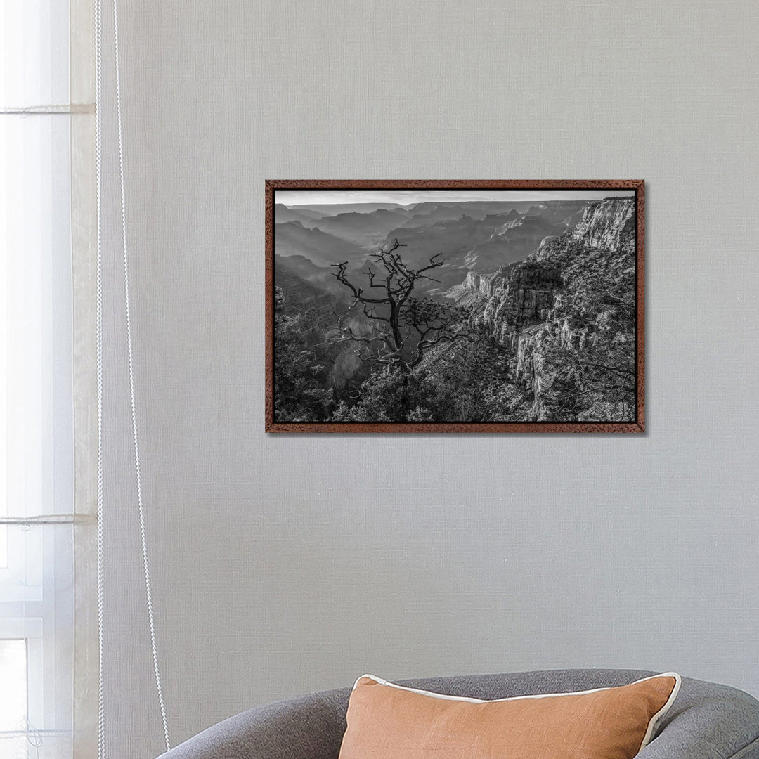 South Rim, Grand Canyon, Arizona von Tim Fitzharris - Gallery-Wrapped Canvas Giclée