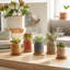 Hovhan Ceramic Pot Planter