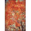 Reproduction d’art sur toile tendue "imagine" par robin-16277141