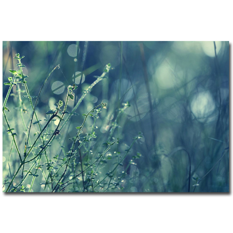 «Blues in the Morning», reproduction de photo, H 22 po x l 32 po x P 2 po, Toile tendue