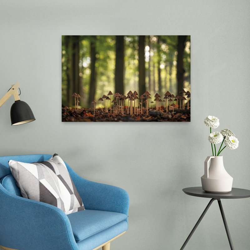 Print, 40.64cm H x 60.96cm W