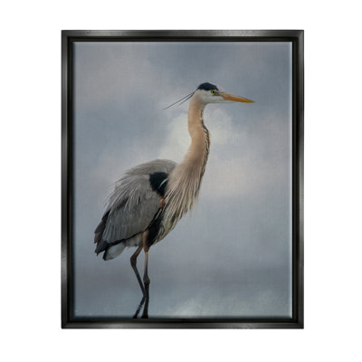 Aigrette perchée, reflet de l'eau - photographie