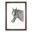 Head of the Horse by Jean Bernard - Picture Frame Drawing Print-55579894-55579891