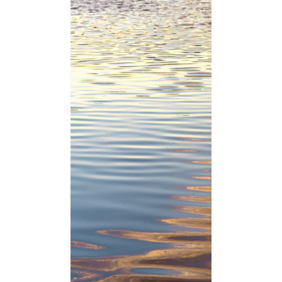 Warm Waters 1 Print by Lillian August
