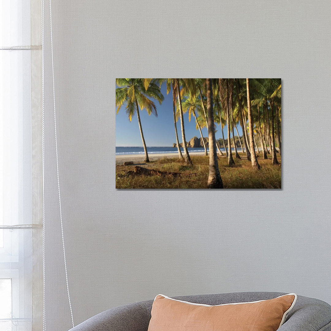Palms At Playa Carrillo, Guanacaste, Costa Rica by Tim Fitzharris - Wrapped Canvas Print