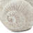 9.5X8.3X6" Decorative Sand And Cement Snail Planter With Textured Beige Finish-2060622146