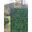 Artificial Foliage Wall Panel With Lockable Roller