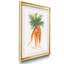Garden Fresh Carrots - Reproduction de photo encadrée sur papier-240138704-240138716