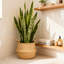 Ensemble de 4 pots à fleurs ronds naturels tissés à la main Boho