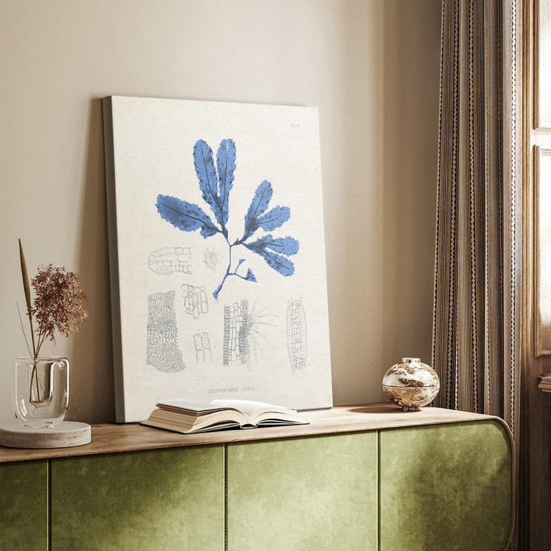 Blue Marine Algae VII - Gallery Cavas, H 12 po x l 8 po