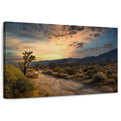 Alvord Remote Desert Sunset