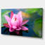 «Large Lotus Flower in the Pond», reproduction de photo sur toile tendue encadrée-63674985-63674983