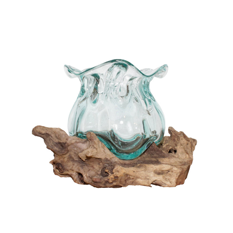 Terrarium de lotus