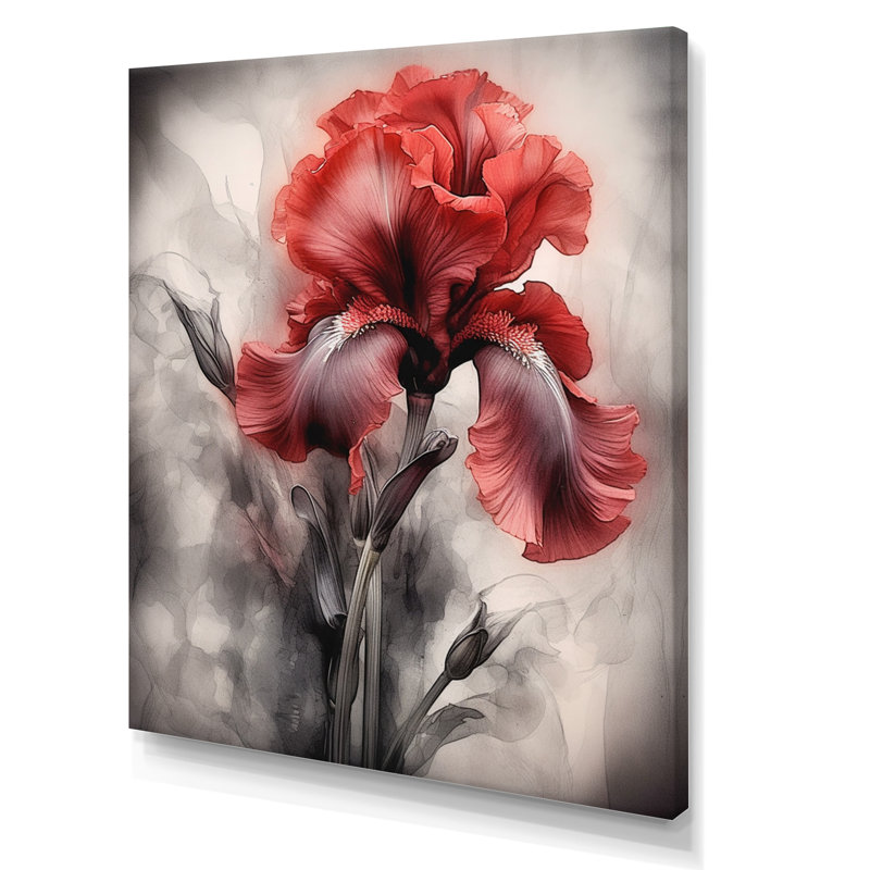«Red Black Iris Petal II», reproduction sur toile, H 20 po x l 12 po x P 1 po, Toile tendue