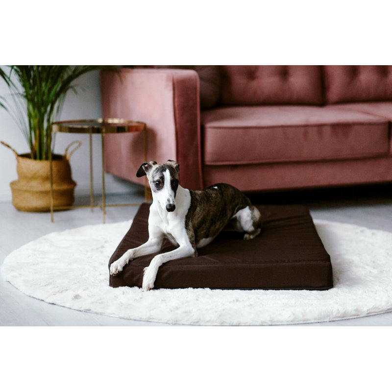 Trevin Orthopedic Codura Pet Bed, Brown, 9cm H x 122cm W x 76cm D, Double Extra Large
