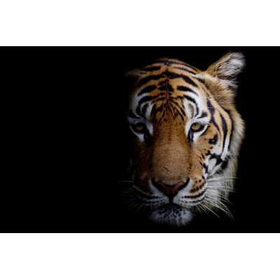 Tiger by Peerajit - Wrapped Canvas Print