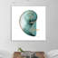Shinny Calm Snail - Wrapped Canvas Print-395600409