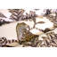Ardmore Outdoor Fabric-1675682823