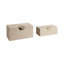 Sagebrook Home 2-Pieces Pretoria Suede Boxes With Metak Hardware