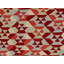 Geometric Area Rug in Red/Orange