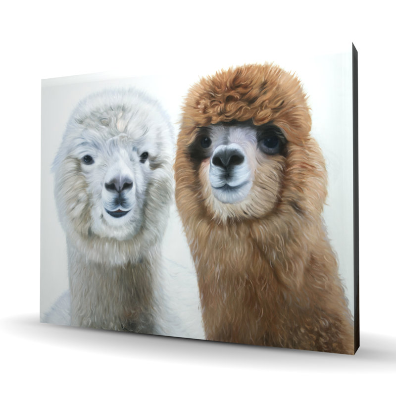 Deux lamas - Toile décorative pour animaux de bureau | Art mural