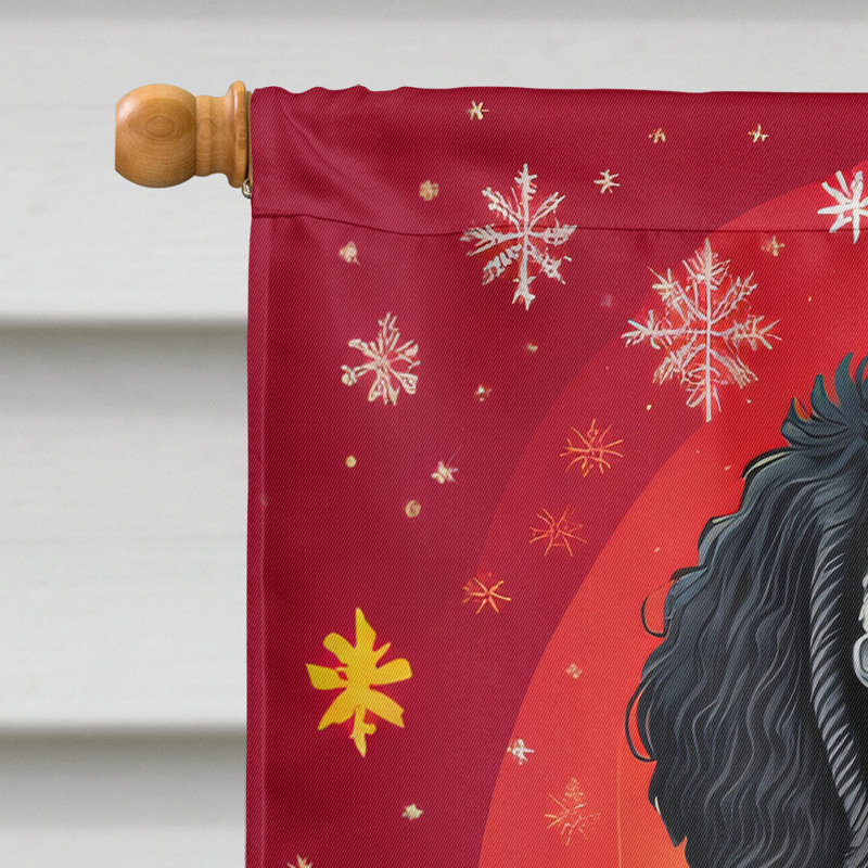 Drapeau de maison de Noël en polyester double face H 40 po x l 28 po