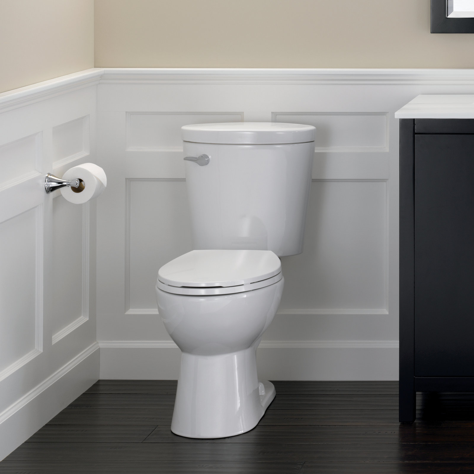 Cassidy™ Toilet Paper Holder, Chrome