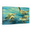 Sea Turtles by Julia Purinton - Painting-64743688-64743689