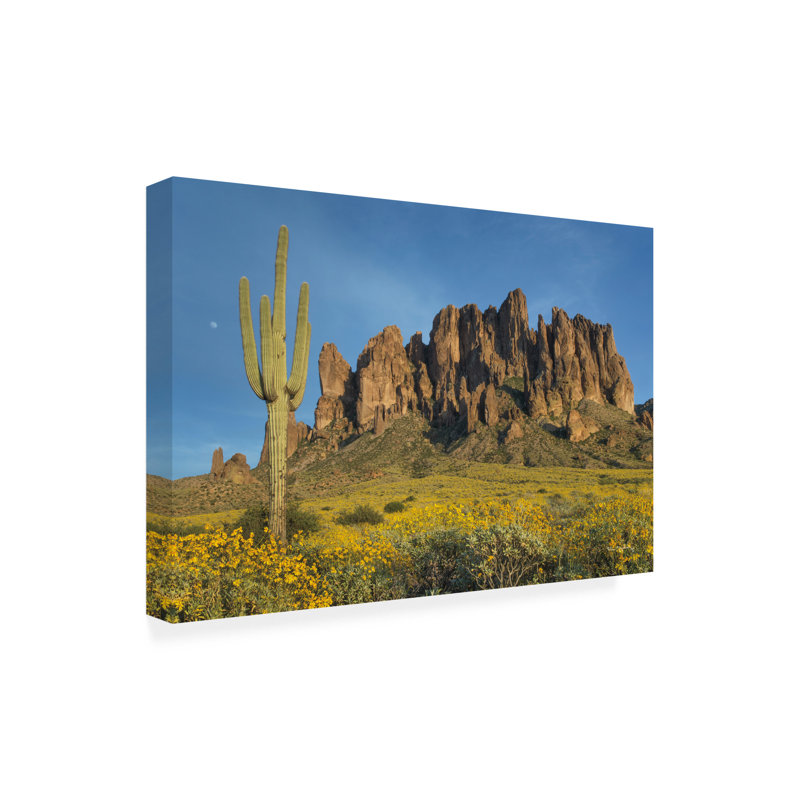 «Superstition Mountains Saguaro», reproduction sur toile, H 30 po x l 47 po x P 2 po