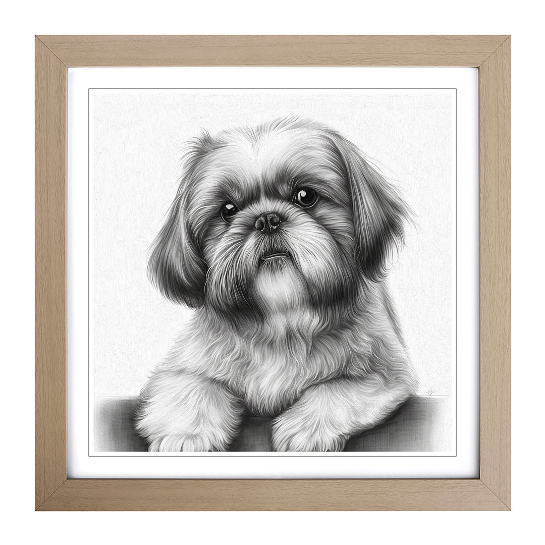 Shih Tzu Drawing - Single Picture Frame Print on Wood