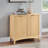 Storage Cabinet With 2 Doors