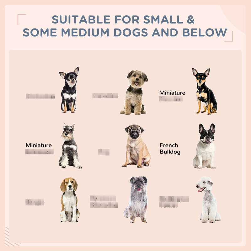 Crème blanc pour chien - lit d'extérieur avec auvent pour petits et moyens chiens, coussin amovible