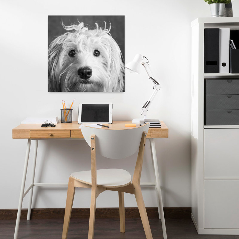 Portrait Of Mini Goldendoodle Contemporary Dog Art, 18" H x 18" W